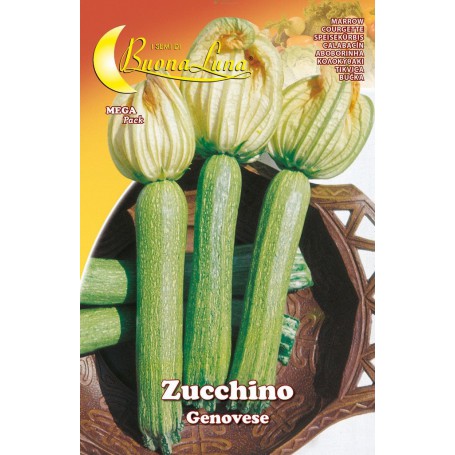 10PZ SEMI ORTO ZUCCHINO GENOVESE